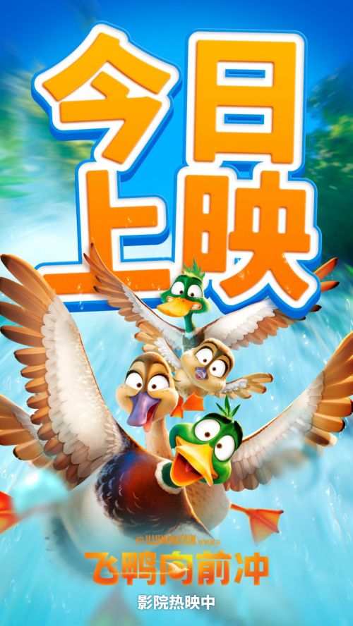 飞鸭向前冲百度云网盘[HD1080P-MP4-免费资源高清]迅雷下载插图