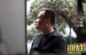 红毯先生下载链接百度云网盘超清版（HD1280P/3.4G-MP4高清原声版）缩略图