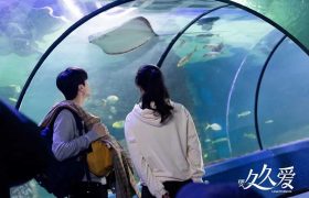 要久久爱1-32全集百度网盘magnet磁力链接下载（HD720P/大结局-MKV）4k高清缩略图