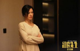 红毯先生百度云高清国语版网盘分享【HD720P/3.3G-MKV】缩略图