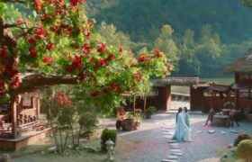 与凤行全集迅雷BT资源下载[BDHD-MP4MKV]高清网盘资源缩略图
