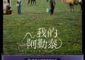 两部作品差点儿就成经典了！缩略图