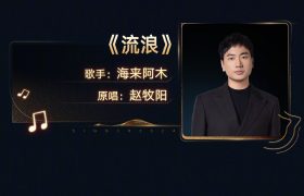 《歌手2024》迅雷BT资源下载[MP4]超清[HD720p1080p]缩略图