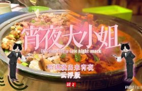 《宵夜大小姐》网盘资源下载【BD1280P高清-MP4-阿里云盘】百度云在线观看缩略图