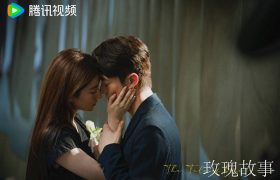 《玫瑰的故事》全集百度云网盘【高清1080P免费】迅雷资源下载缩略图