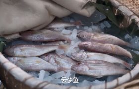 范闲大刀阔斧改职场，动作快得像猛虎下山缩略图