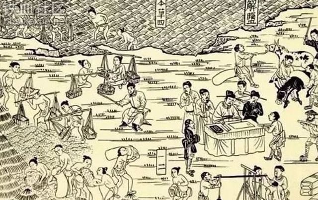 电视剧里李卫的背景牛不牛？现实中他又是啥样？插图2