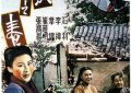 《小城之春》里的诗意美学——感受那流淌的温柔情意缩略图