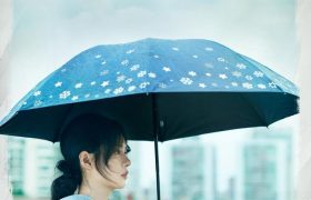 《十二封信》全集百度云网盘[HD1080p高清中字]迅雷资源下载免费分享缩略图