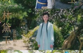 《红楼梦》全集资源下载【HD1080P原声版/泄露-MP4原声版】高清百度云网盘缩略图