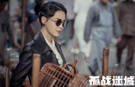 《孤军奋战谜之城》迅雷资源下载免费下载HD1080p高清百度云资源下载缩略图