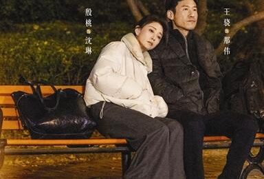 《柳舟记》百度云网盘[高清中字1080pHD高清资源下载]免费在线观看插图