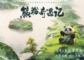 熊猫的奇妙冒险：一起探秘中国的生态保护吧！缩略图