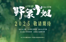 《野象小姐》百度云网盘（泄露Mp4）4k高清资源下载国语中字缩略图